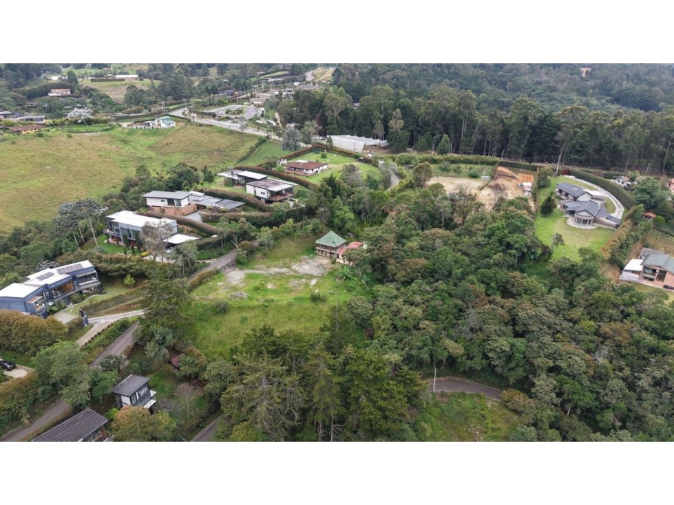 Lote en Palmas independiente bosque privado — foto 2