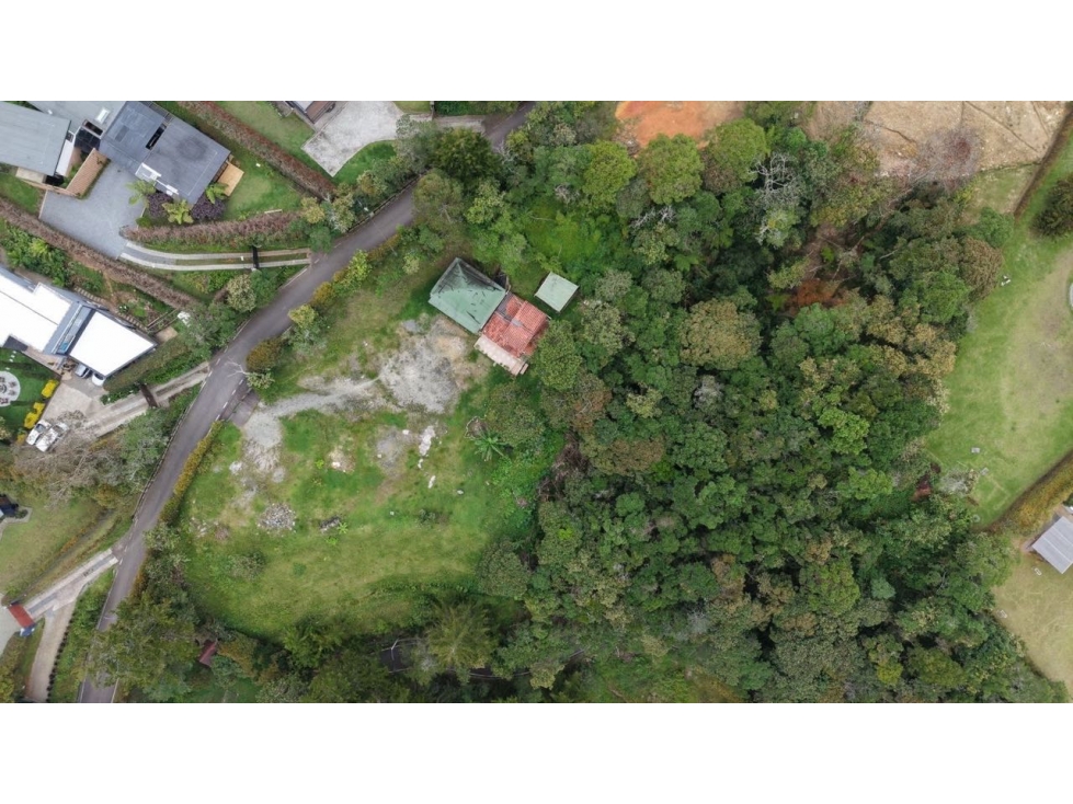 Lote en Palmas independiente bosque privado — foto 3