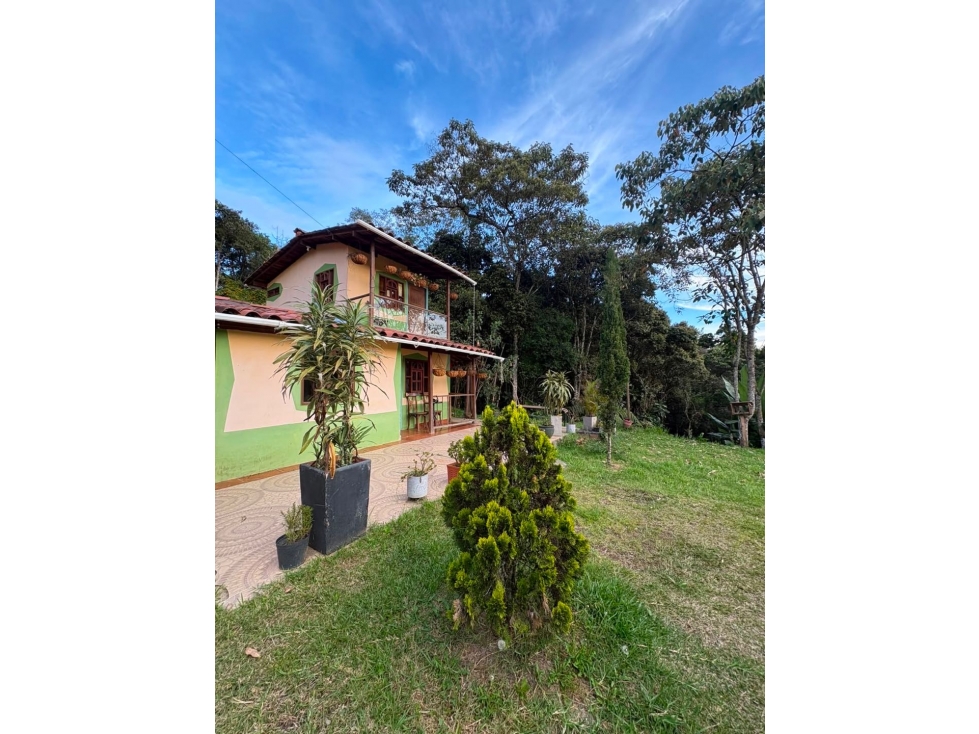 Lote en Palmas independiente bosque privado — foto 4