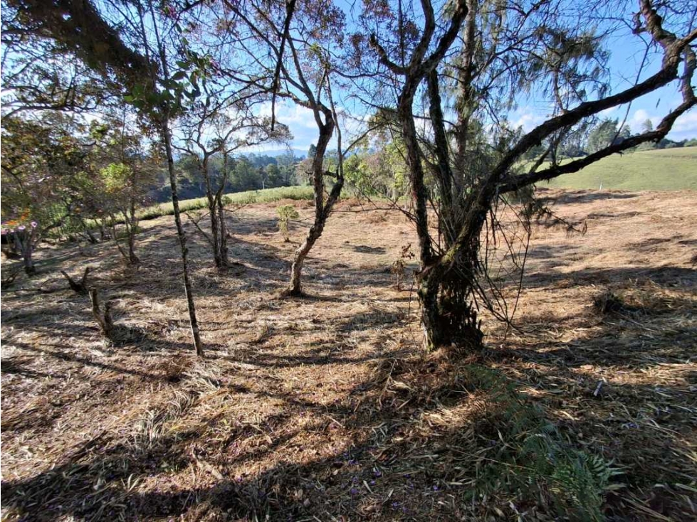 Lote en Parcelación
