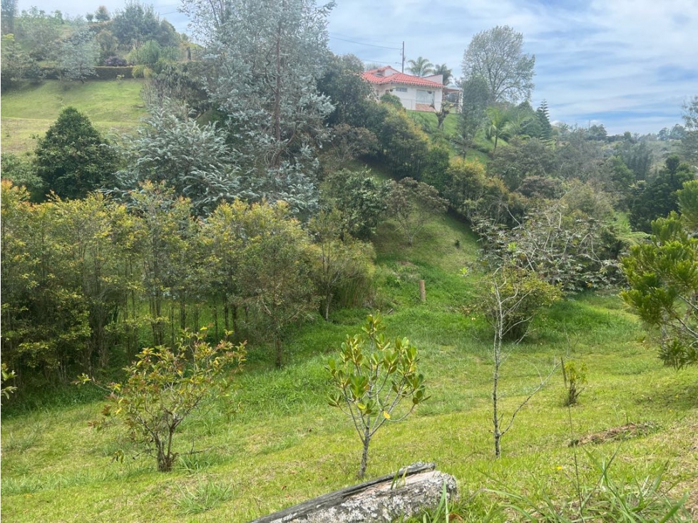 Vendo Lote en parcelación a 10 minutos de San Antonio de Pereira [CM] — foto 6