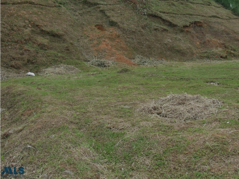 Lote en parcelación abierta campestre(MLS#252210) - 1