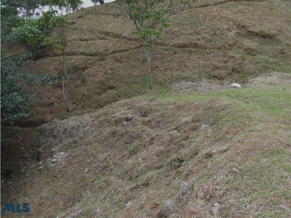 Lote en parcelación abierta campestre(MLS#252210) - 2