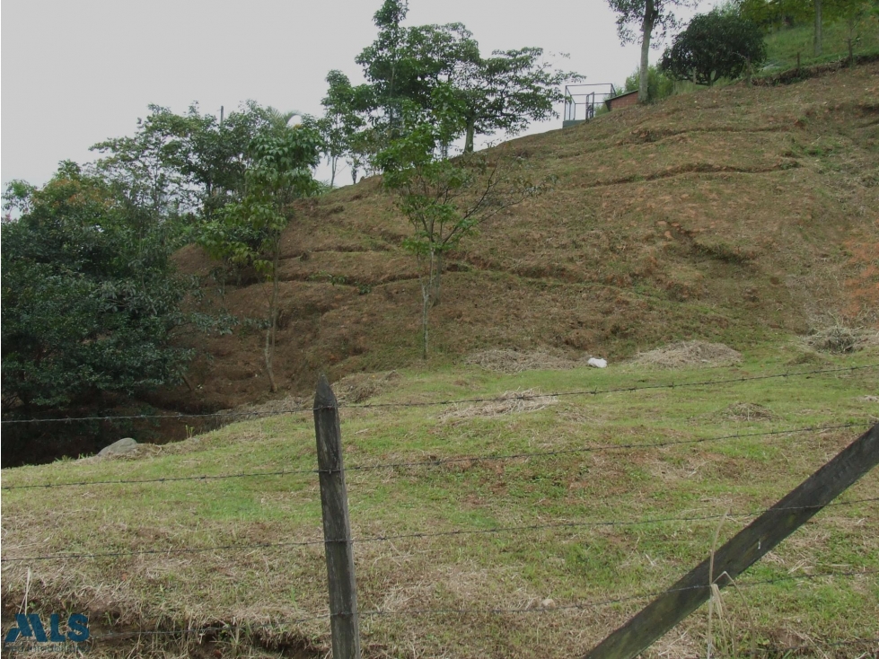 Lote en parcelación abierta campestre(MLS#252210) - 4