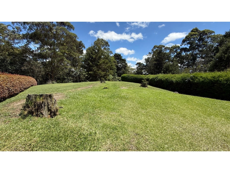 Lote en Parcelación detrás del Mall Llanogrande - Rionegro — foto 3