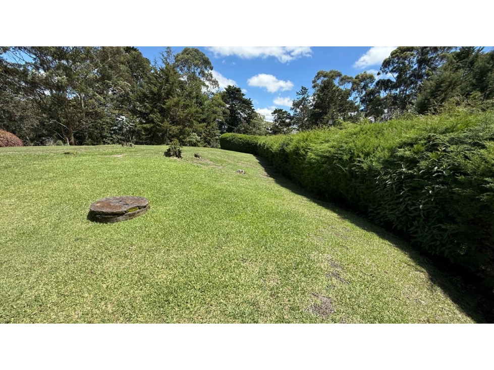Lote en Parcelación detrás del Mall Llanogrande - Rionegro — foto 4
