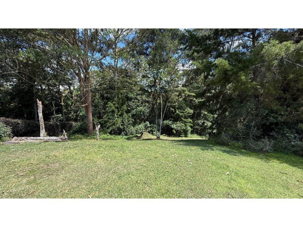 Lote en Parcelación detrás del Mall Llanogrande - Rionegro — foto 6