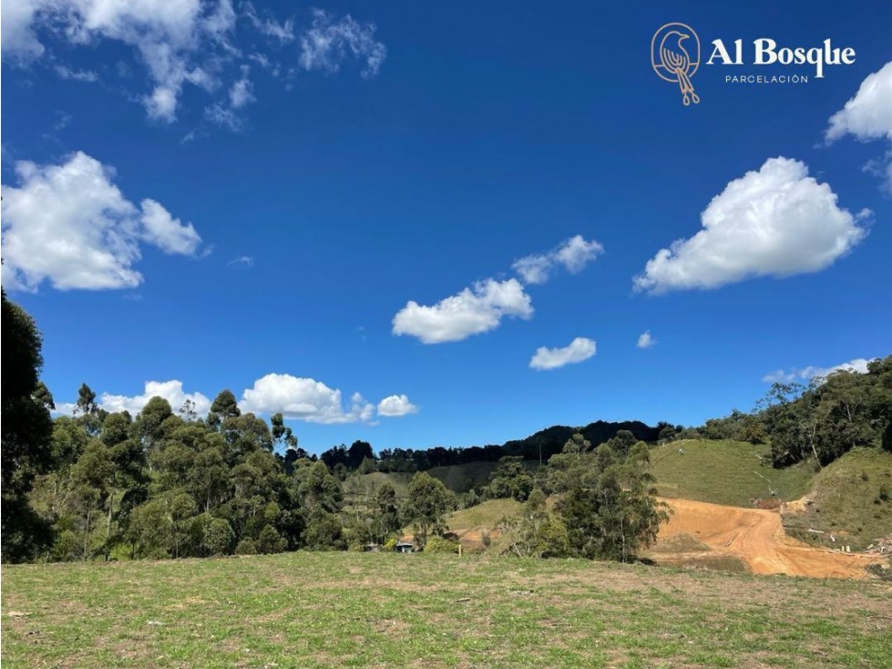 Lote en Parcelación cerrada El Retiro — foto 4