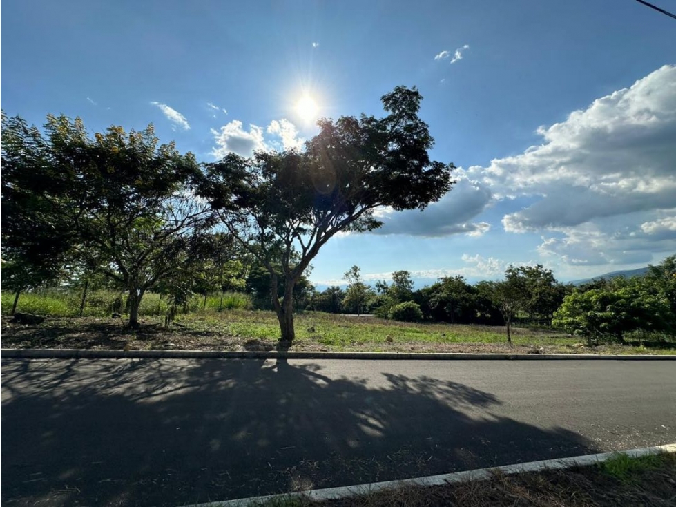 Lote en parcelación cerrada en venta Santa Elena El Cerrito Valle - 4