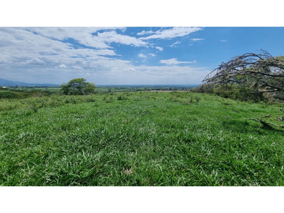 Lotes en parcelación cerrada en venta - Santa Elena El Cerrito Valle - 2