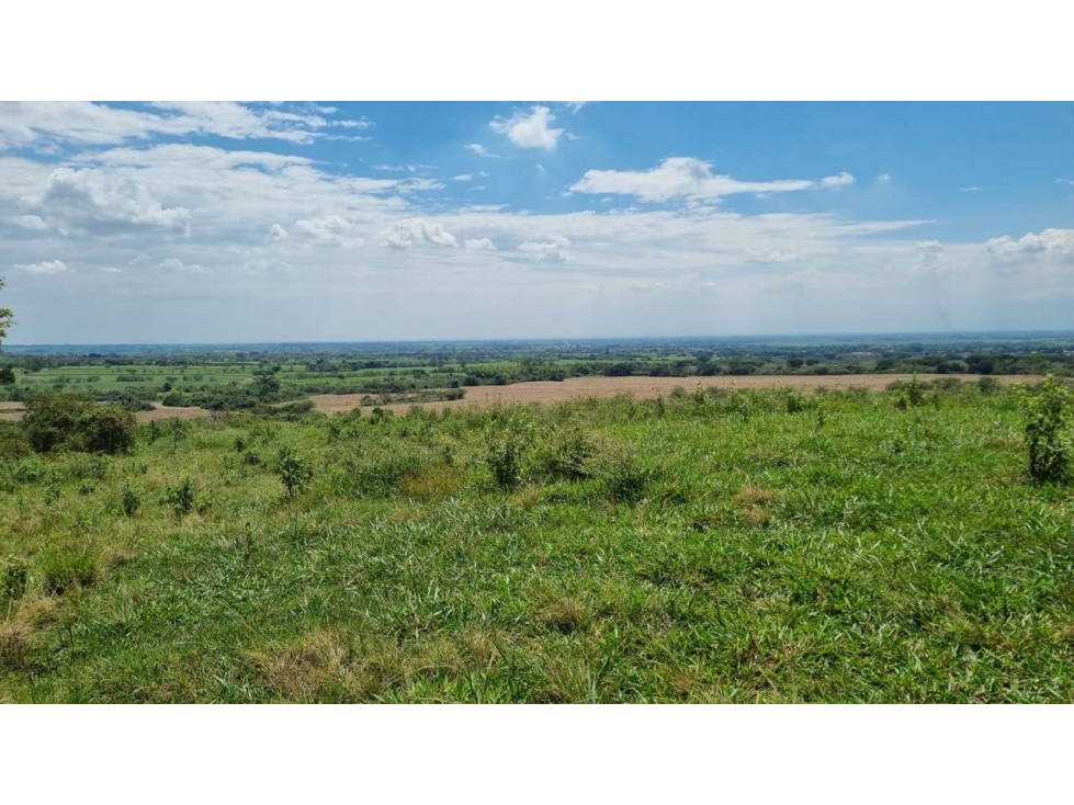 Lotes en parcelación cerrada en venta - Santa Elena El Cerrito Valle - 3