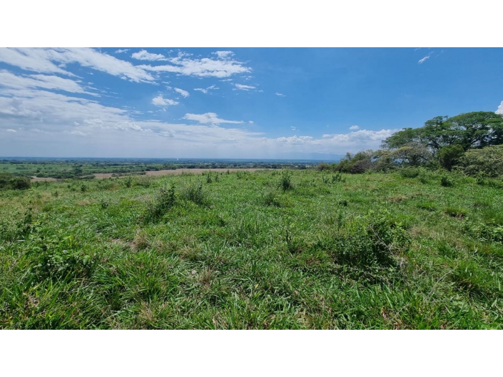 Lotes en parcelación cerrada en venta - Santa Elena El Cerrito Valle - 4