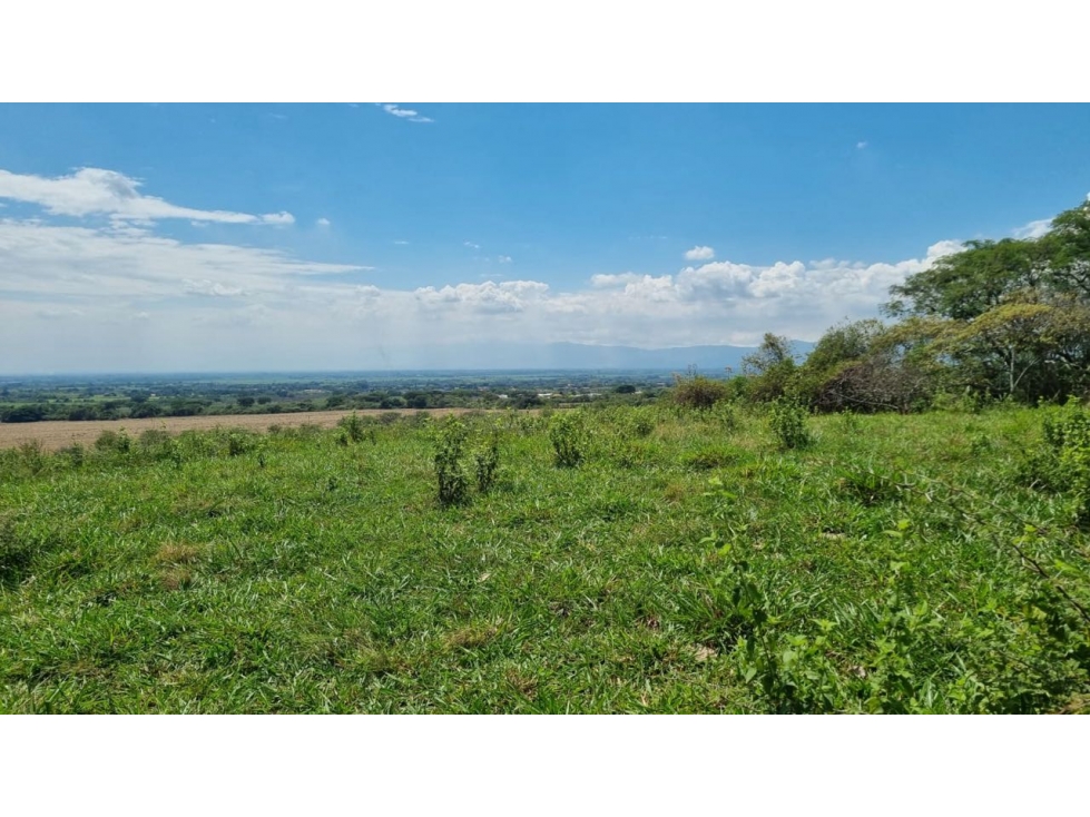 Lotes en parcelación cerrada en venta - Santa Elena El Cerrito Valle - 5