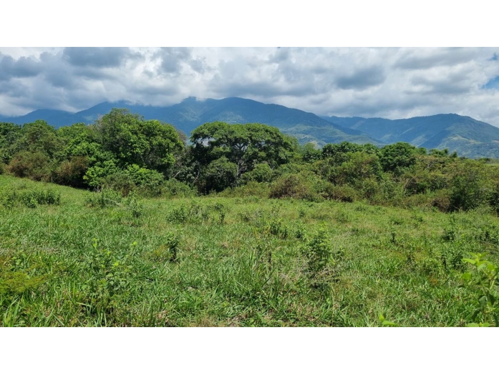 Lotes en parcelación cerrada en venta - Santa Elena El Cerrito Valle - 6