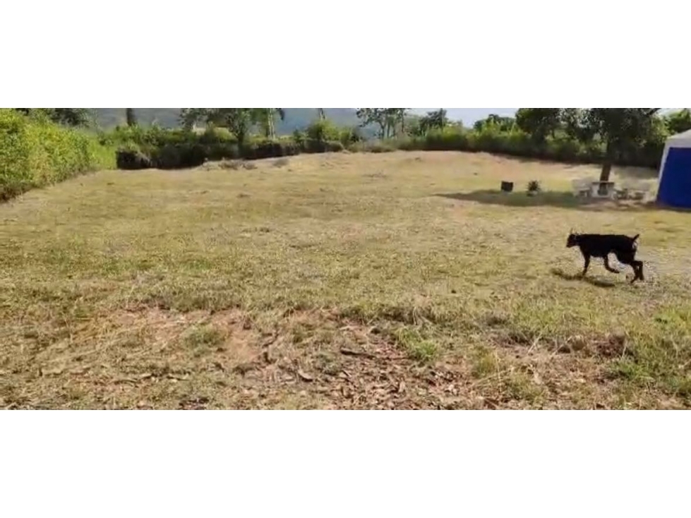Lote en parcelación cerrada en venta Santa Elena El Cerrito Valle - 3