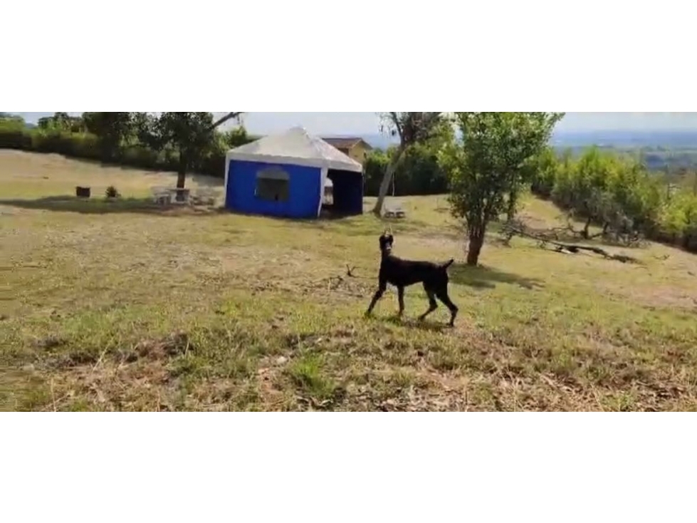 Lote en parcelación cerrada en venta Santa Elena El Cerrito Valle - 5