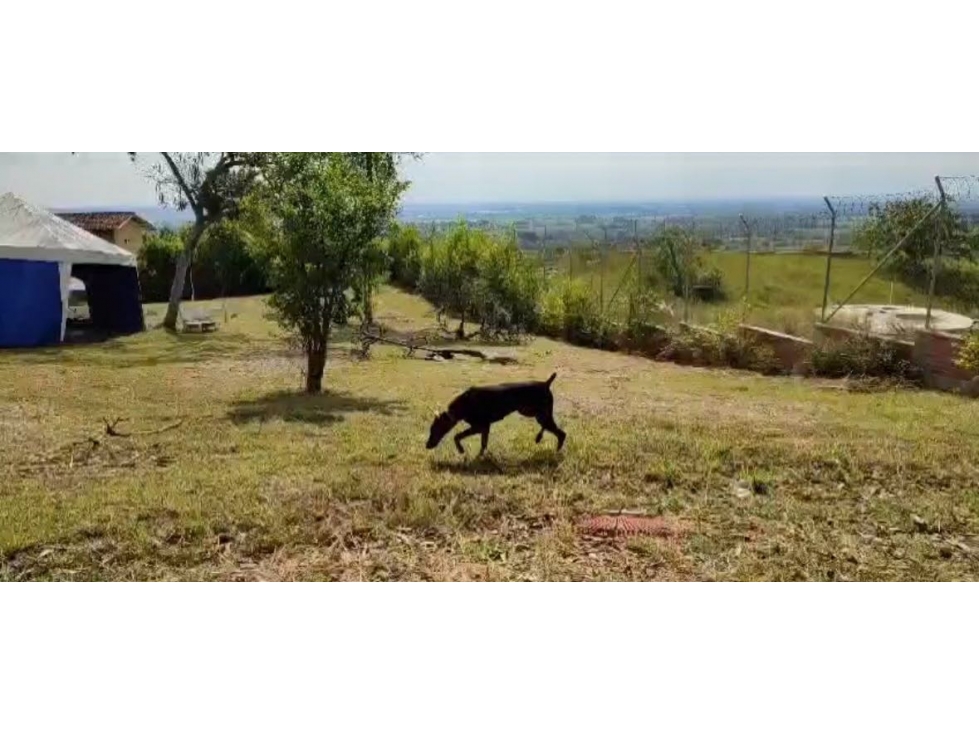 Lote en parcelación cerrada en venta Santa Elena El Cerrito Valle - 6