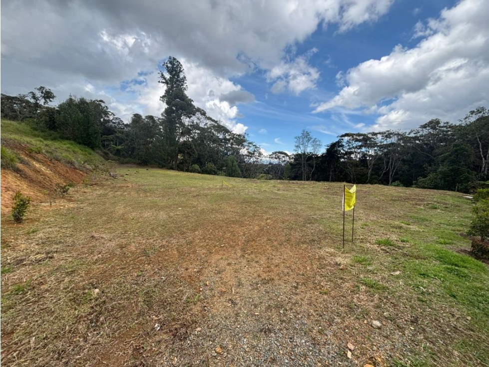 Lote en parcelación essenza tablazo con explanación y bosque nativo — foto 4