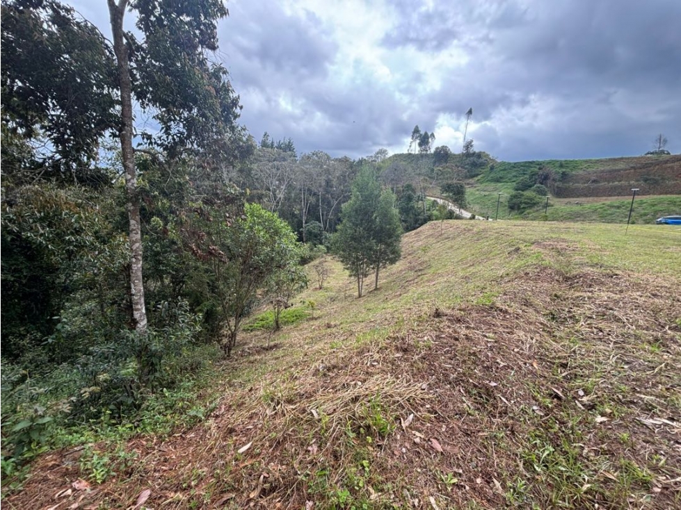 Lote en parcelación essenza tablazo con explanación y bosque nativo — foto 6