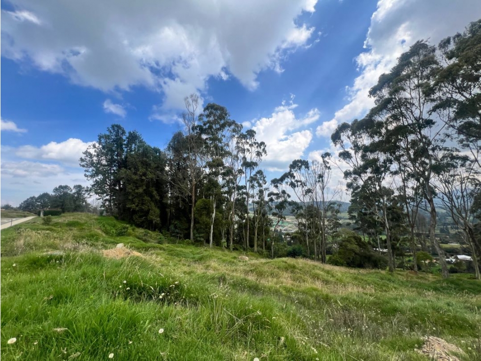 LOTE EN PARCELACIÓN LA ACUARELA ALTO DE LAS PALMAS ENVIGADO - 2