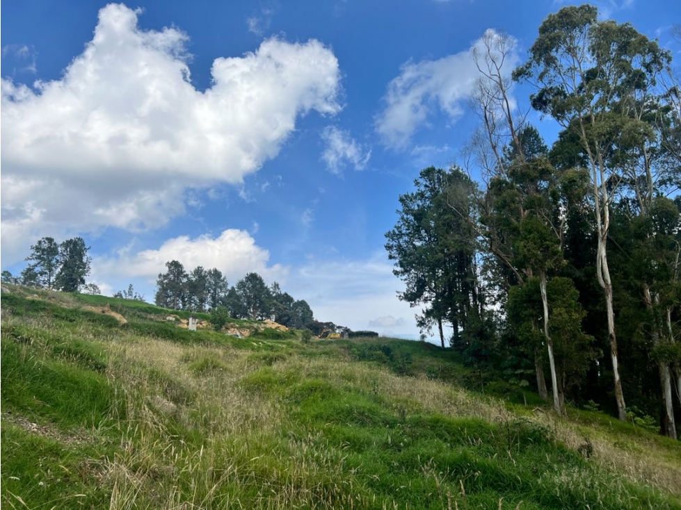 LOTE EN PARCELACIÓN LA ACUARELA ALTO DE LAS PALMAS ENVIGADO - 4