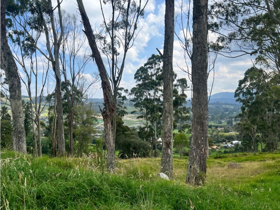 LOTE EN PARCELACIÓN LA ACUARELA ALTO DE LAS PALMAS ENVIGADO - 5