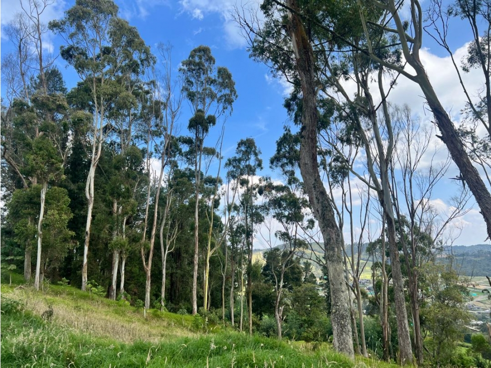 LOTE EN PARCELACIÓN LA ACUARELA ALTO DE LAS PALMAS ENVIGADO - 6