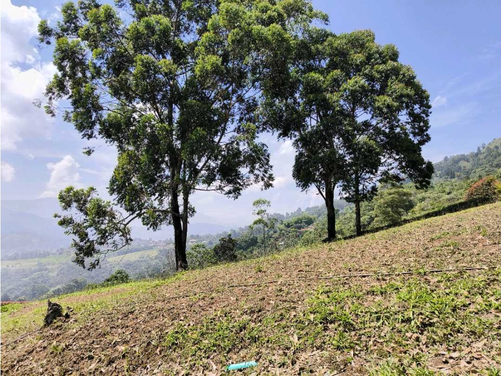 VENTA DE LOTE EN PARCELACIÓN CERCA A COMFAMA DE LA ESTRELLA - 6