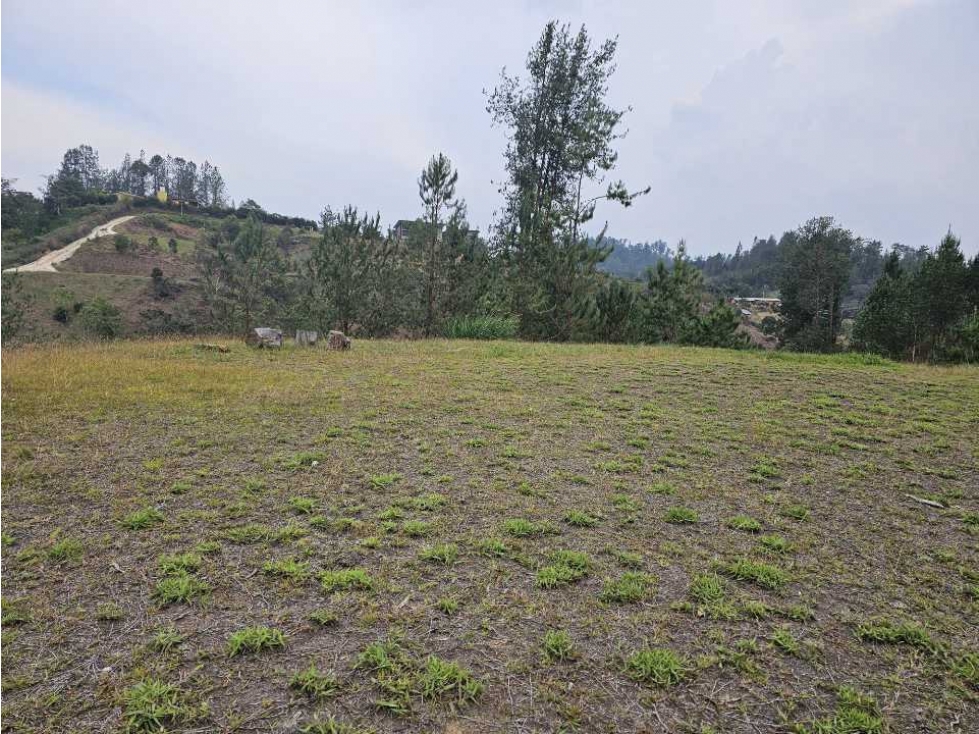 Lote en Parcelación muy comercial, Via Don Diego - La Ceja: — foto 6