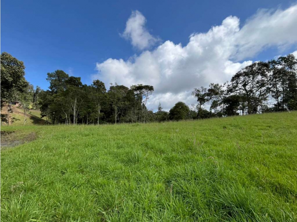 VENTA LOTE EN PARCELACIÓN. VISTA. ALTO DEL ESCOBERO