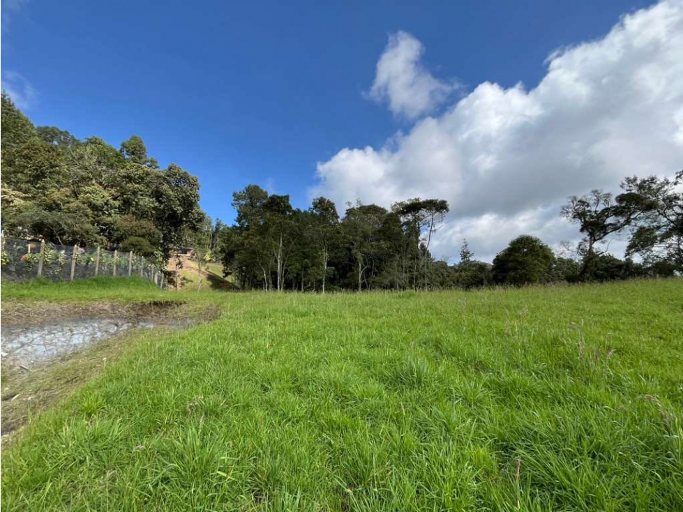 VENTA LOTE EN PARCELACIÓN. VISTA. ALTO DEL ESCOBERO — foto 3