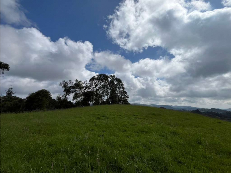 VENTA LOTE EN PARCELACIÓN. VISTA. ALTO DEL ESCOBERO — foto 4