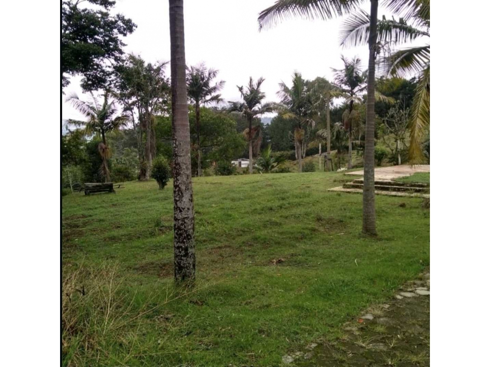 LOTE EN PARCELACION - LA CEJA