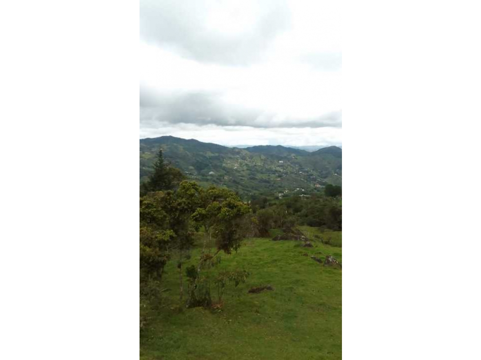 Lote En Peñol Vereda Masetas - 1