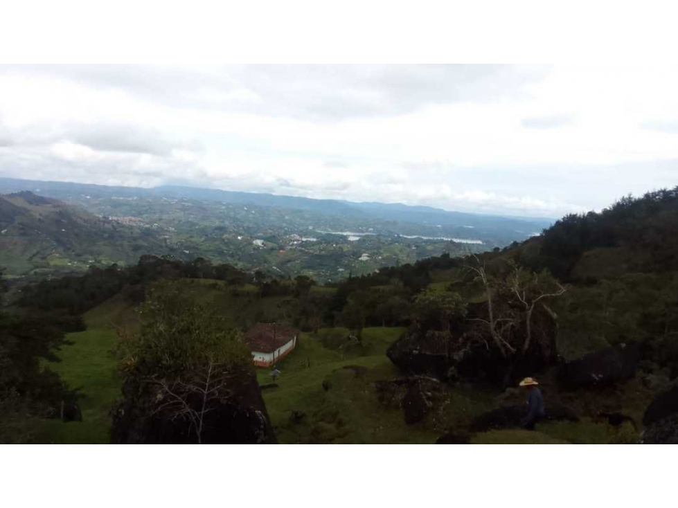 Lote En Peñol Vereda Masetas - 2