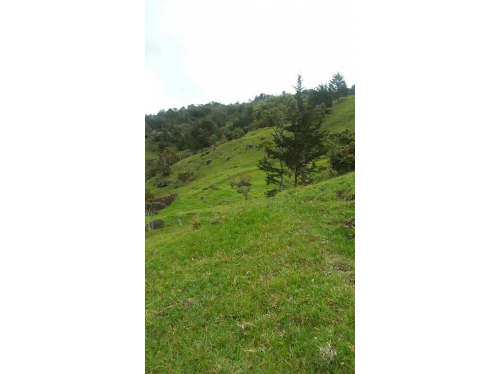 Lote En Peñol Vereda Masetas - 3