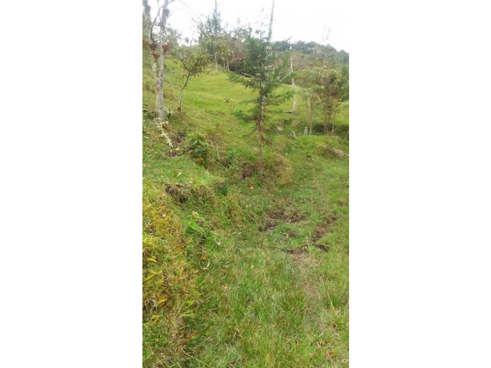 Lote En Peñol Vereda Masetas - 6