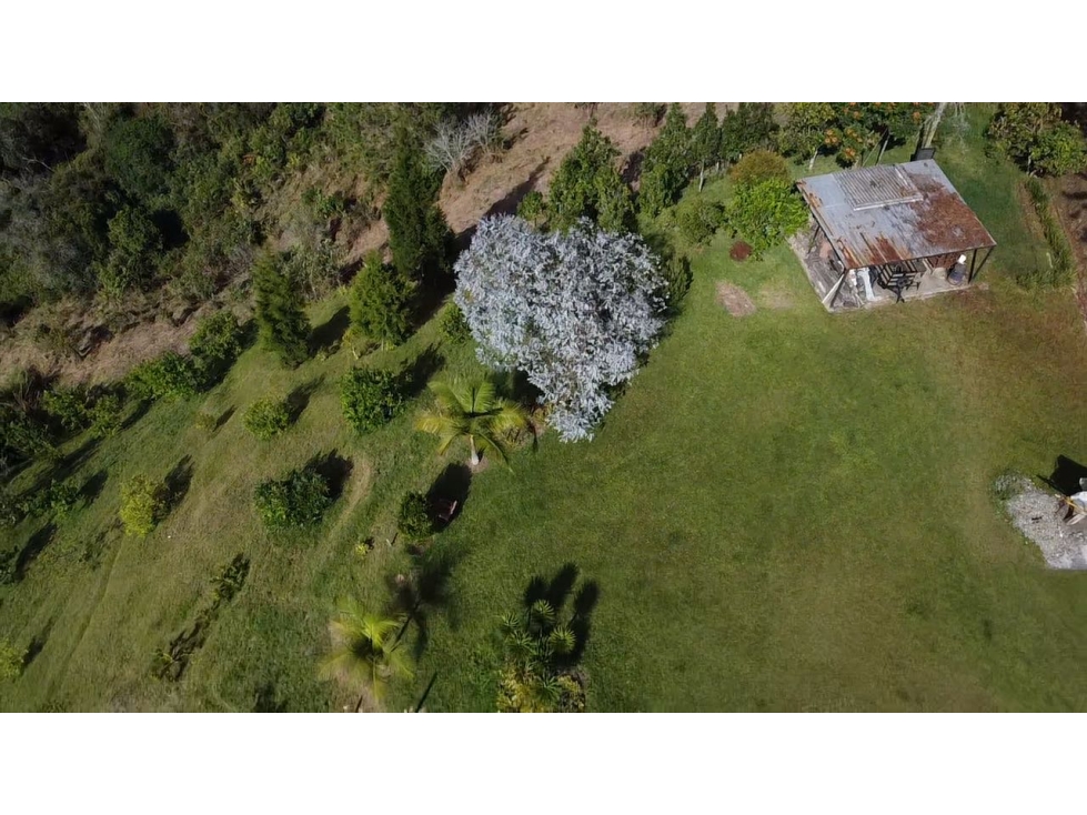 Venta lote en pontevedra — foto 2