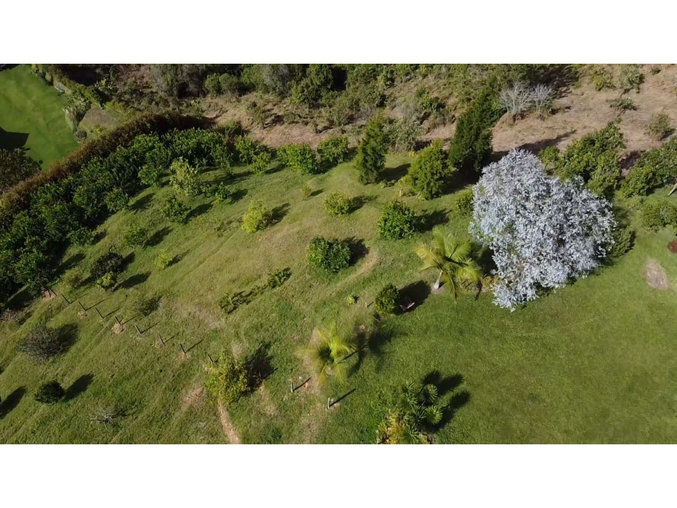 Venta lote en pontevedra — foto 3