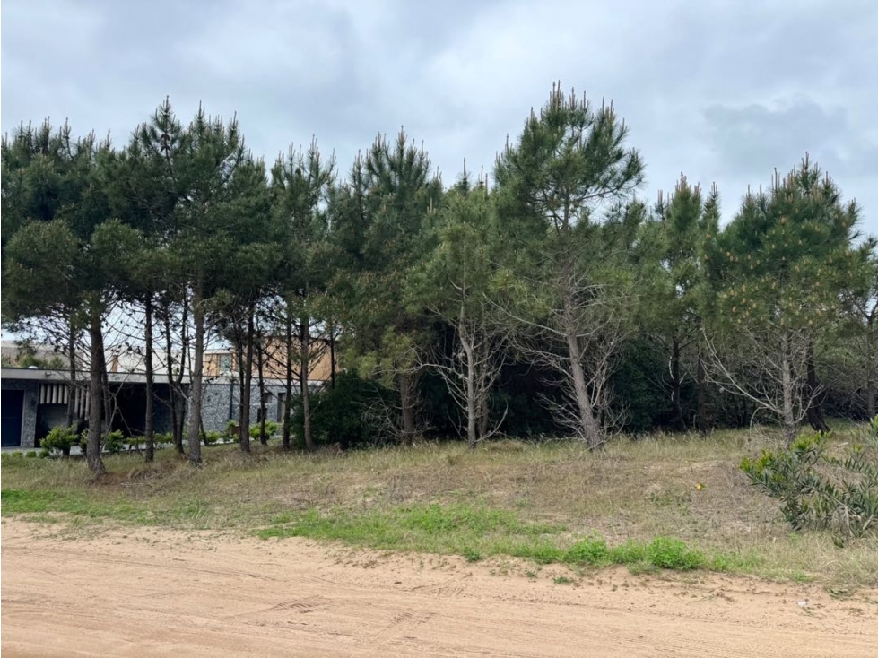Lote en primera línea de mar COSTA ESMERALDA-MARITIMO IV 19 - 3