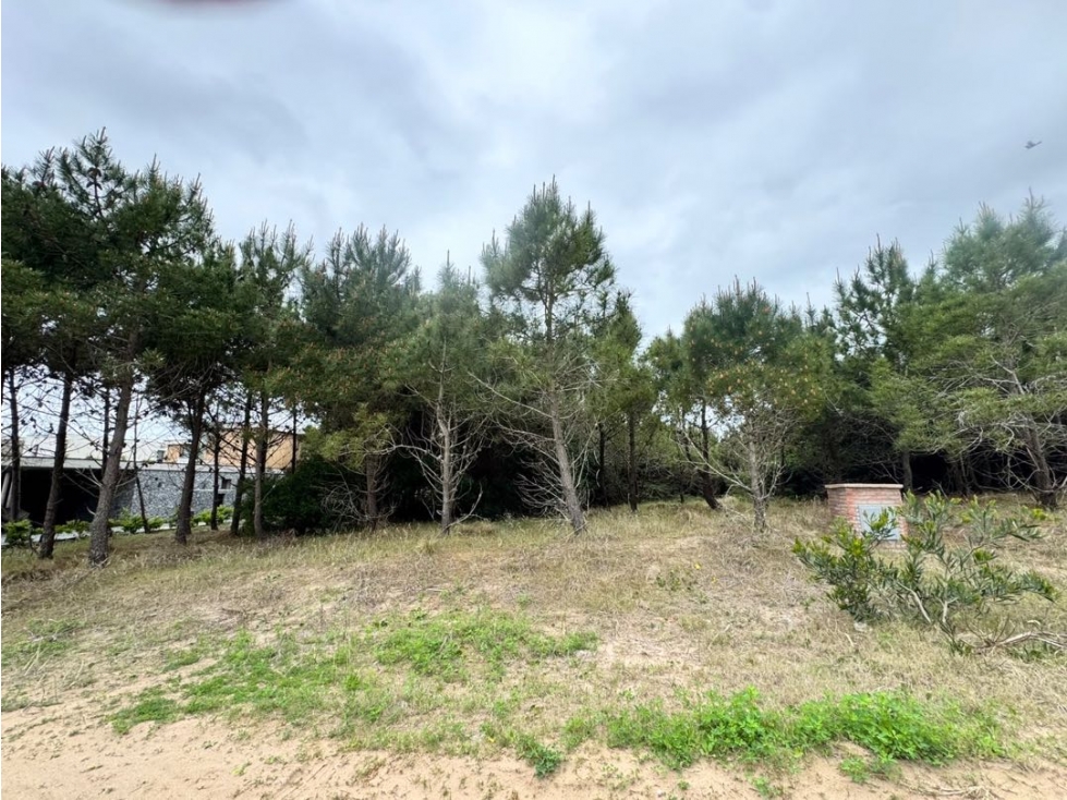 Lote en primera línea de mar COSTA ESMERALDA-MARITIMO IV 19 - 4