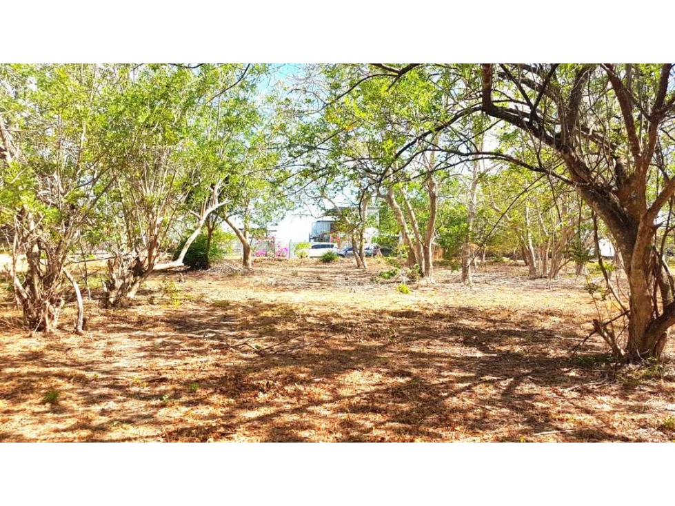 LOTE EN ÁREA DE PLAYA - 2