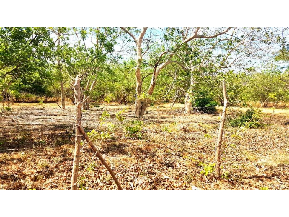 LOTE EN ÁREA DE PLAYA - 4