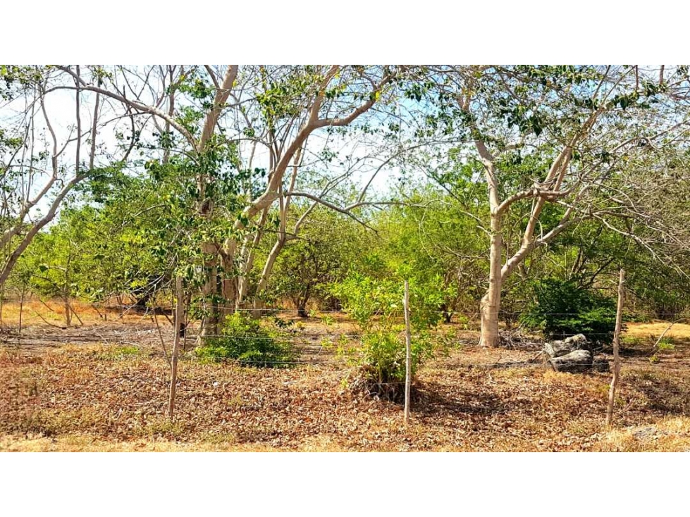 LOTE EN ÁREA DE PLAYA - 6