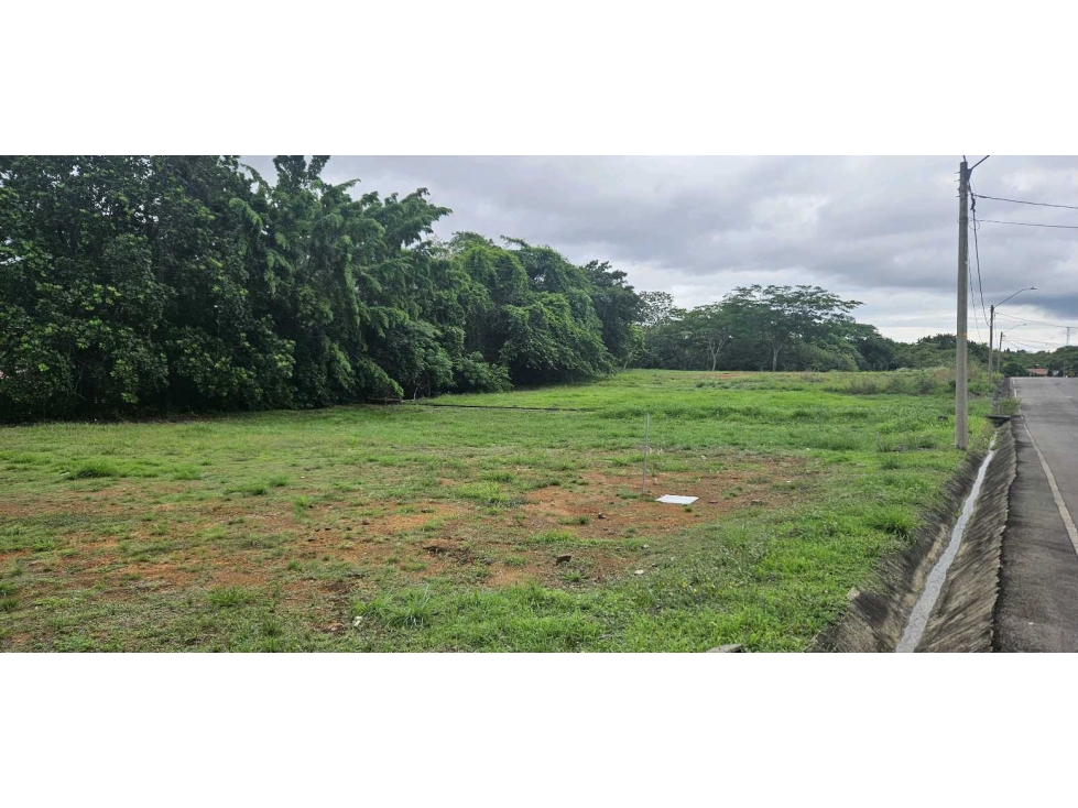 LOTE #37 EN RESIDENCIAL PRIVADO EN.DAVID - 3