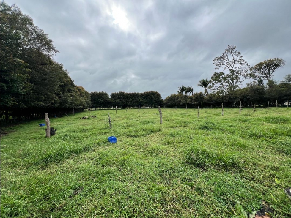 Lote en Rionegro Llanogrande cabeceras