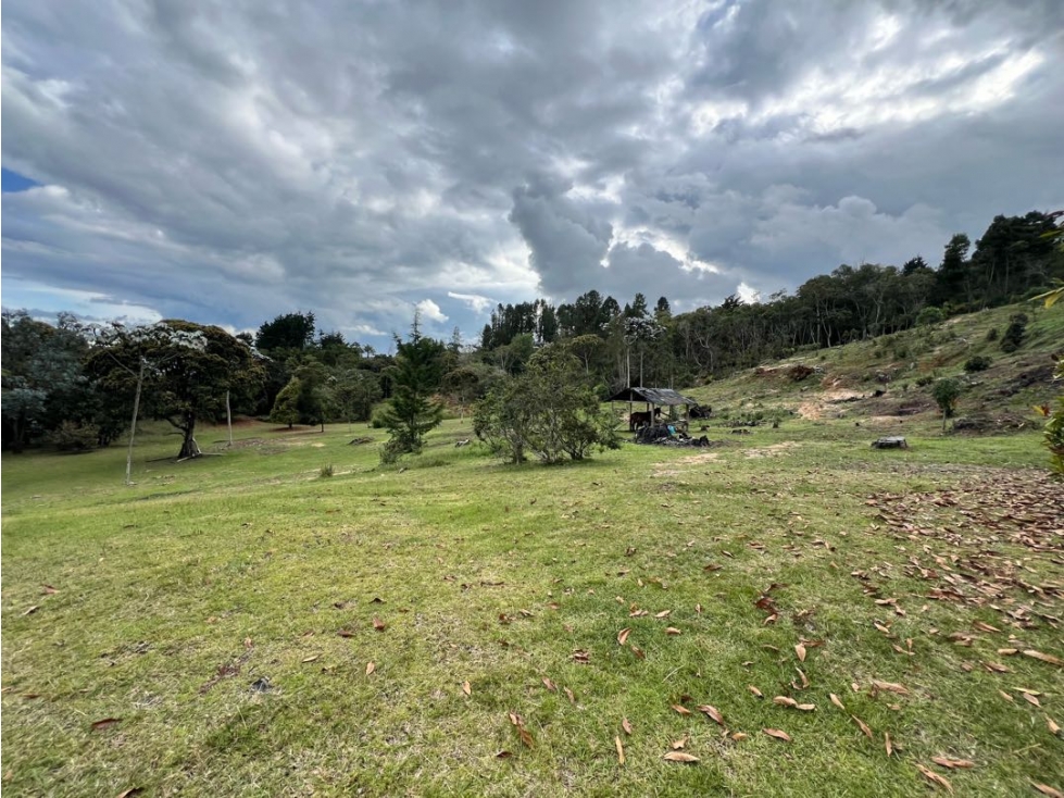 Lote en Rionegro, variante las palmas aeropuerto — foto 4