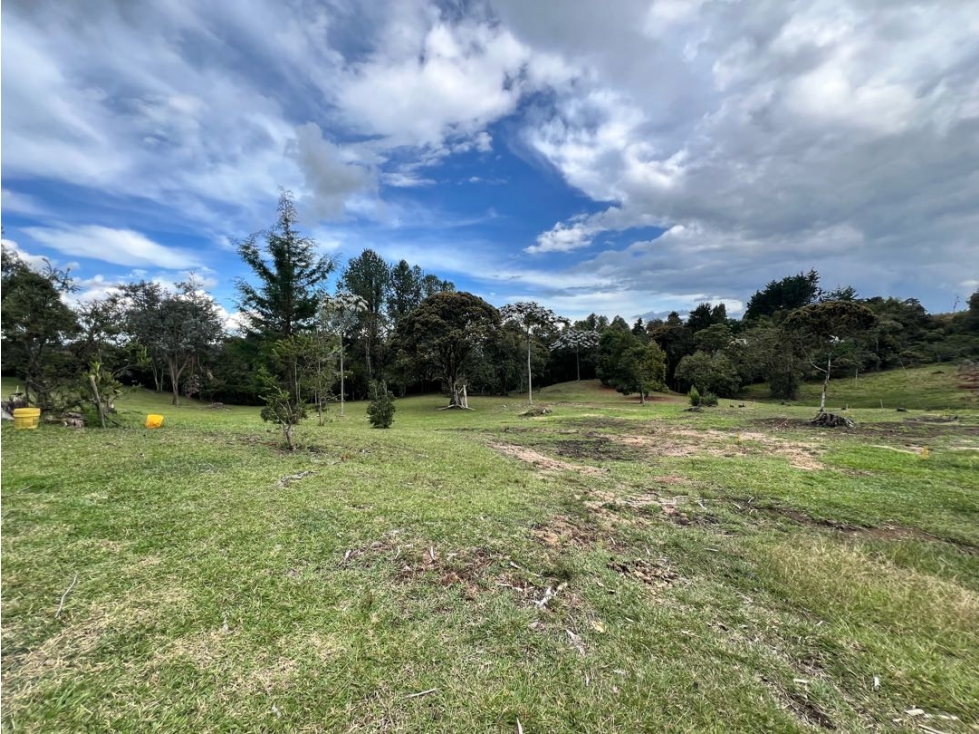 Lote en Rionegro, variante las palmas aeropuerto — foto 5