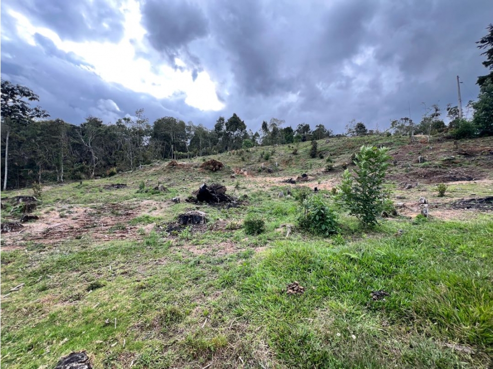 Lote en Rionegro, variante las palmas aeropuerto — foto 6