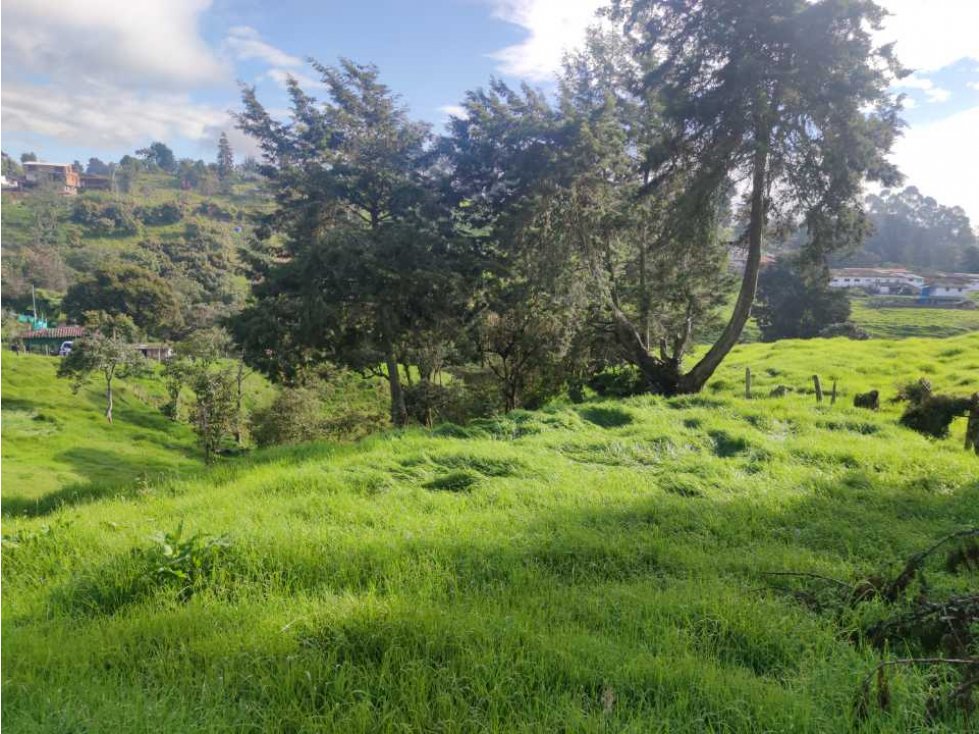 Lote en san Félix Sector el Yarumo - 6